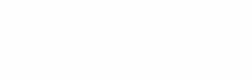 white Fintech logo trademarked