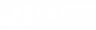 white Fintech logo trademarked