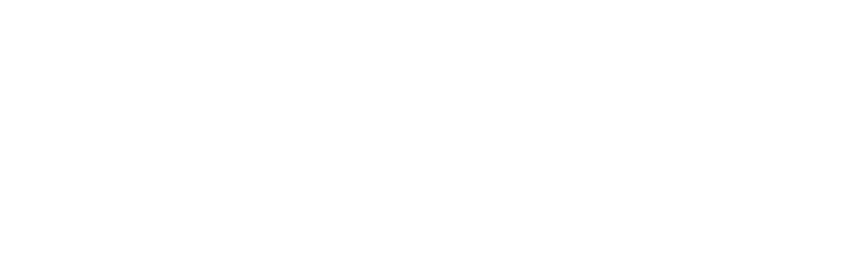 white Fintech logo trademarked